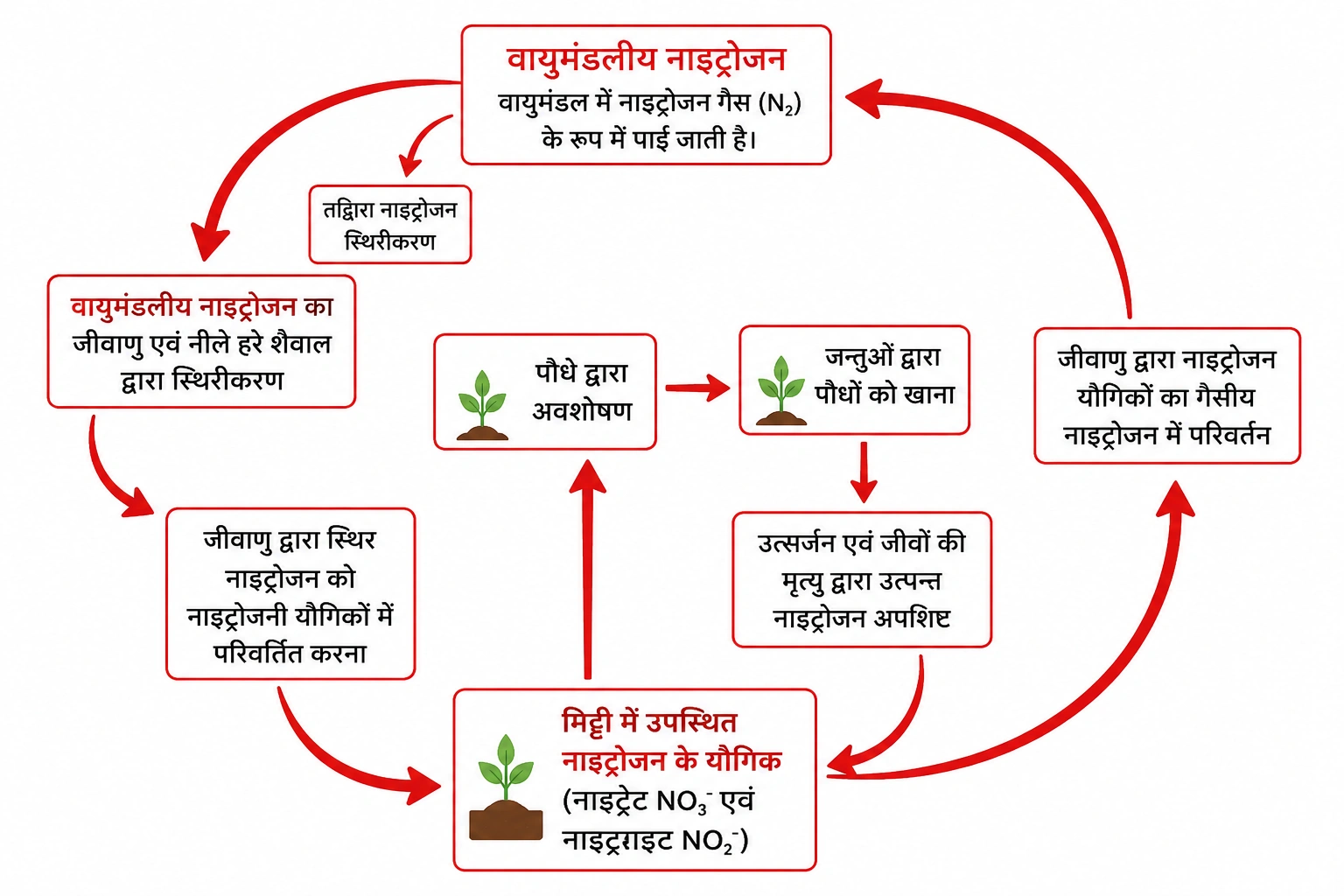 नाइट्रोजन स्थिरीकरण